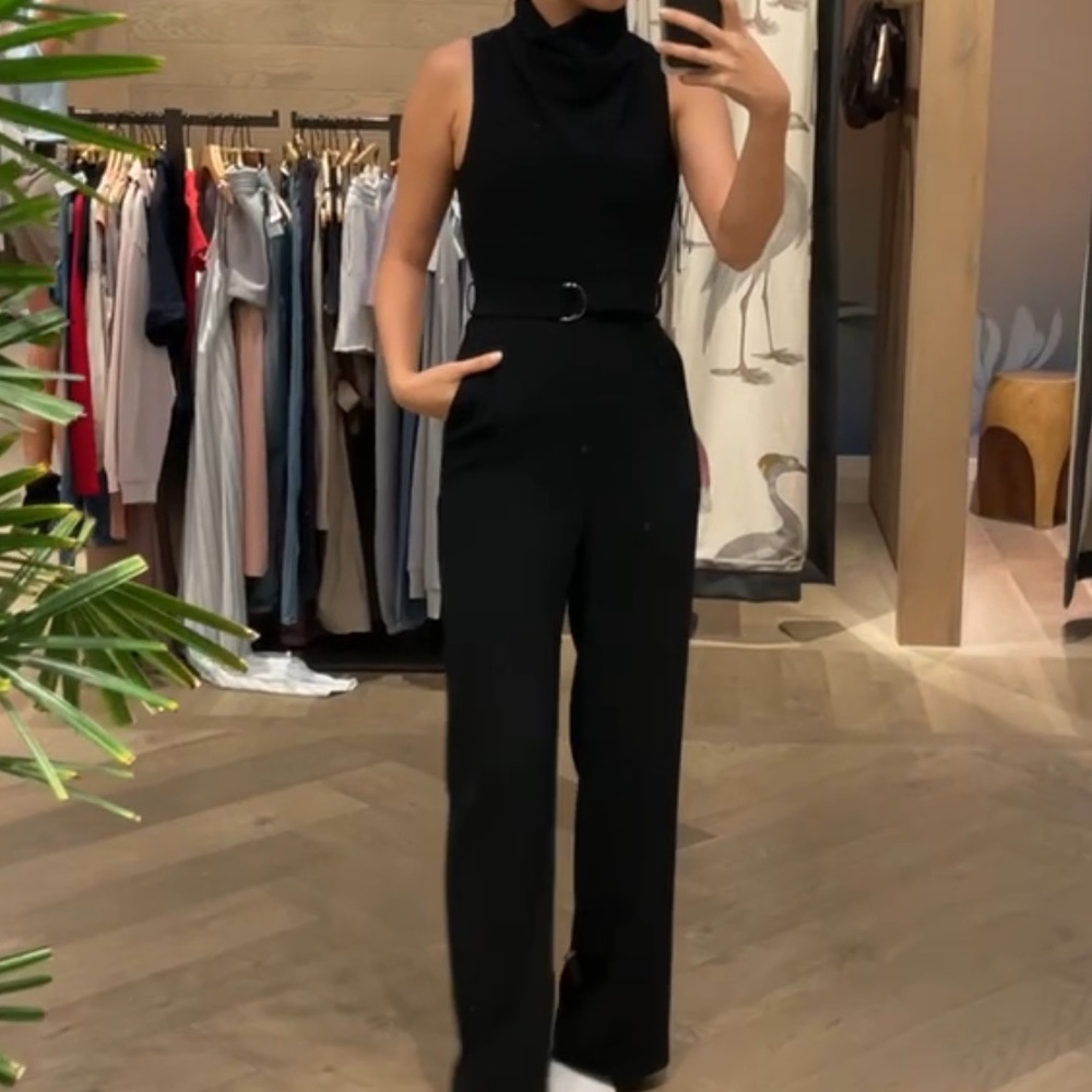 Aritzia Babaton Black Jumpsuit w/ Belt